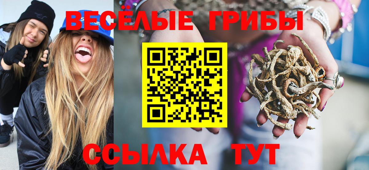 Псилоцибиновые грибы прущие грибы  Вход с VPN  как найти закладки  Верхняя Салда 
