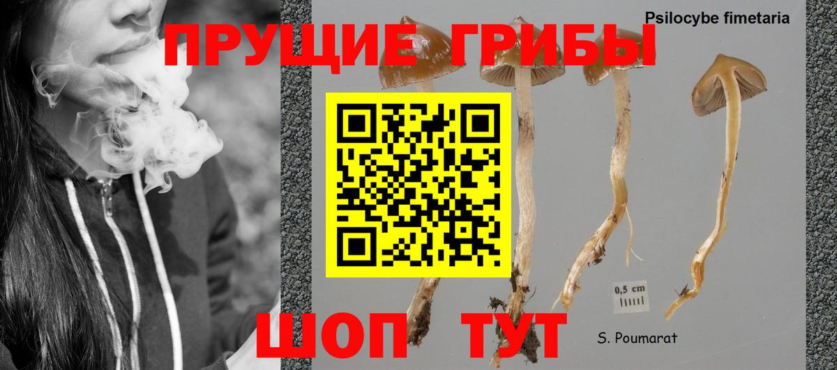 Галлюциногенные грибы прущие грибы Верхняя Салда